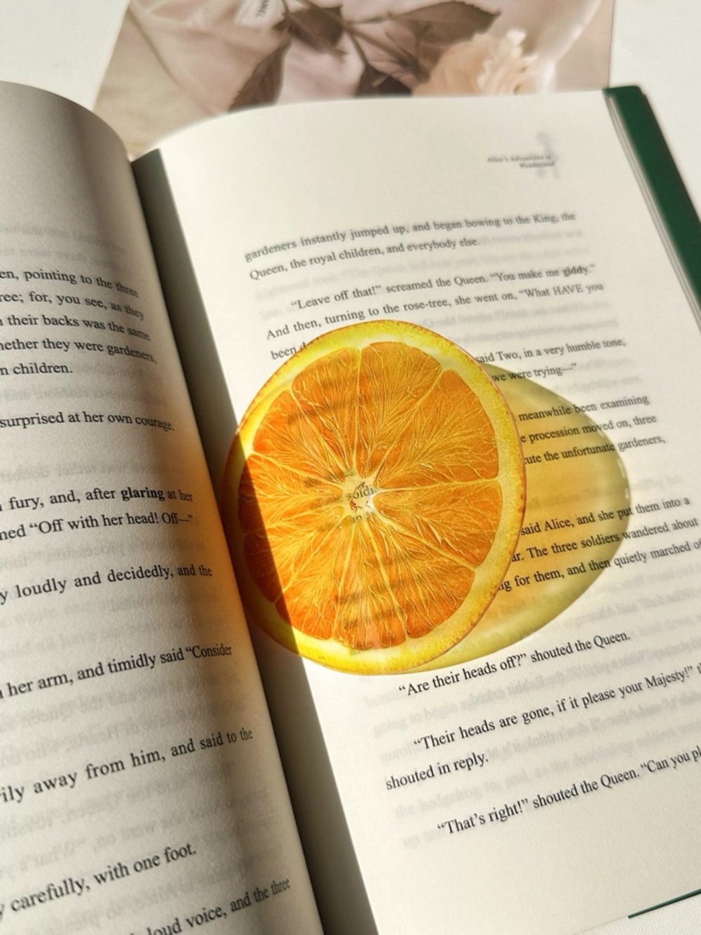 Citrus Orange Slice Coaster Accent - Picture 11 of 12